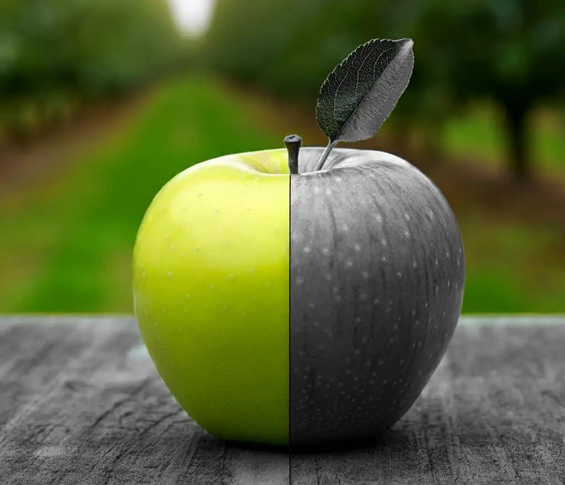 Color vs Monochrome Cameras Color vs Monochrome Cameras