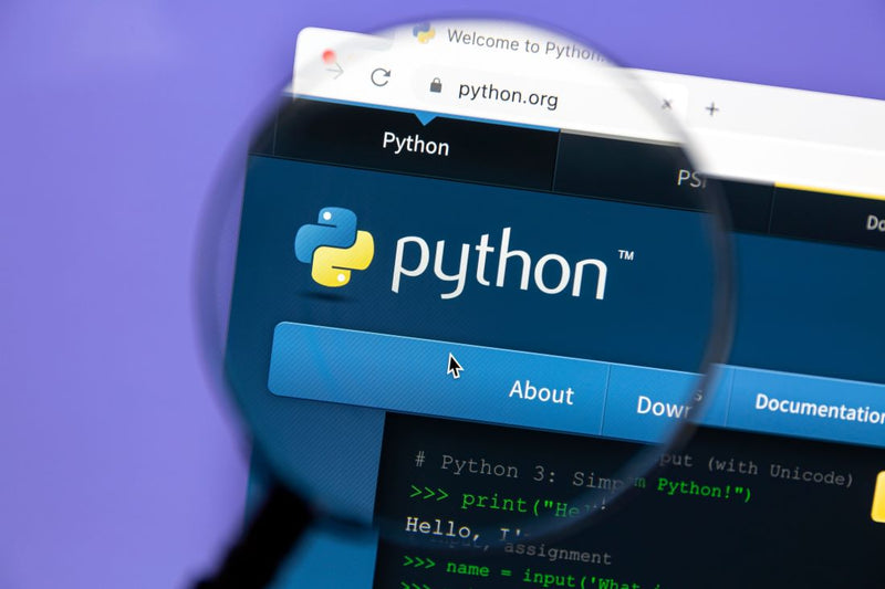 Python programming language Python programming language