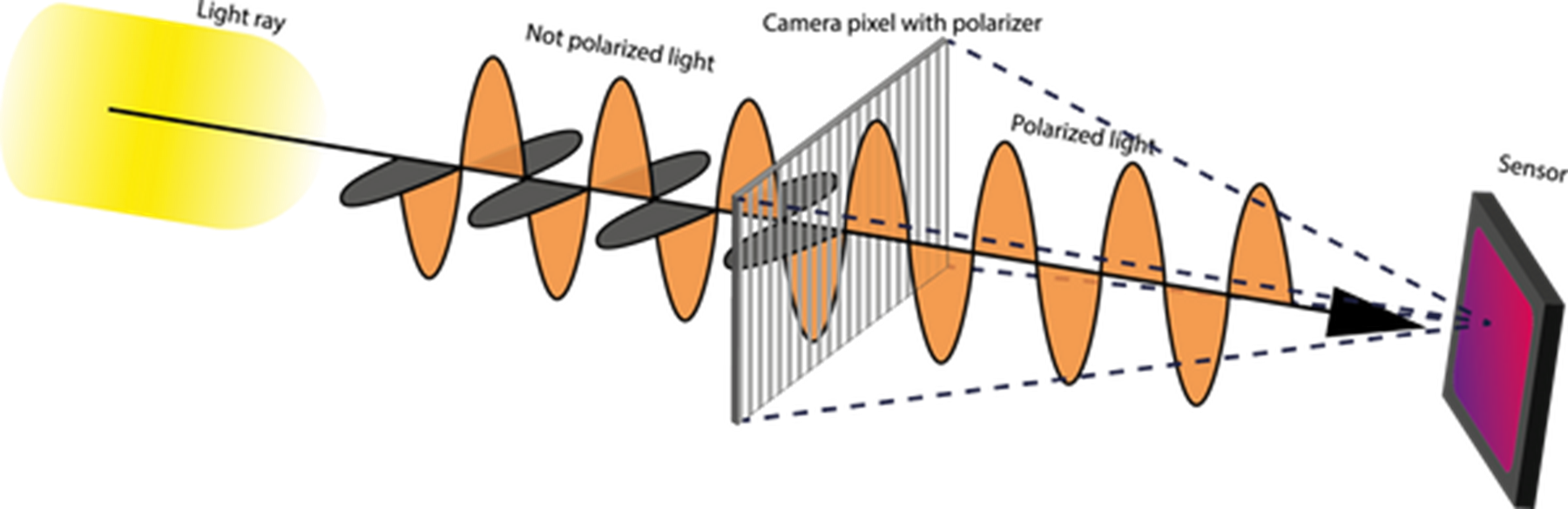 The image explains how a polarization filter works The image explains how a polarization filter works