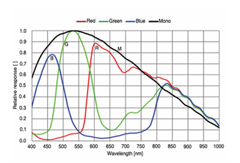 Spectral sensitivity curves for red, green, blue, and monochrome on a graph with wavelength on the x-axis and relative responsivity on the y-axis. Spectral sensitivity curves for red, green, blue, and monochrome on a graph with wavelength on the x-axis and relative responsivity on the y-axis.