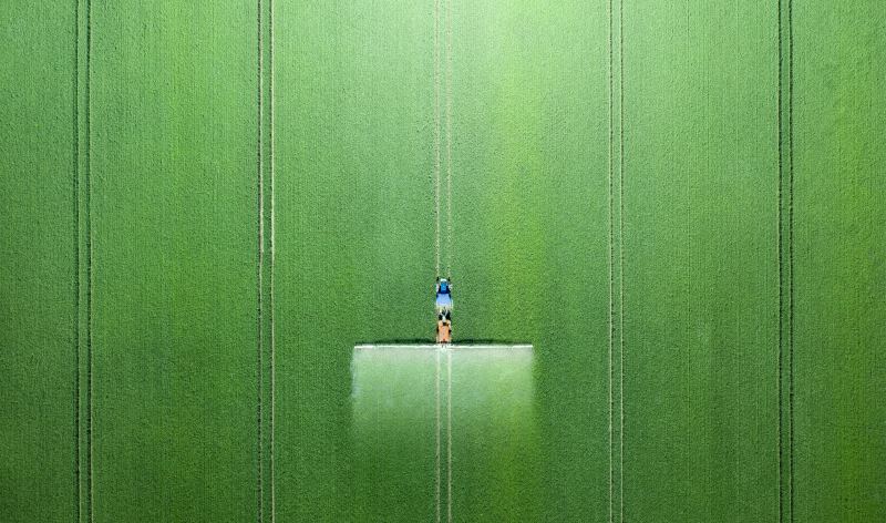 Weeds inspection system