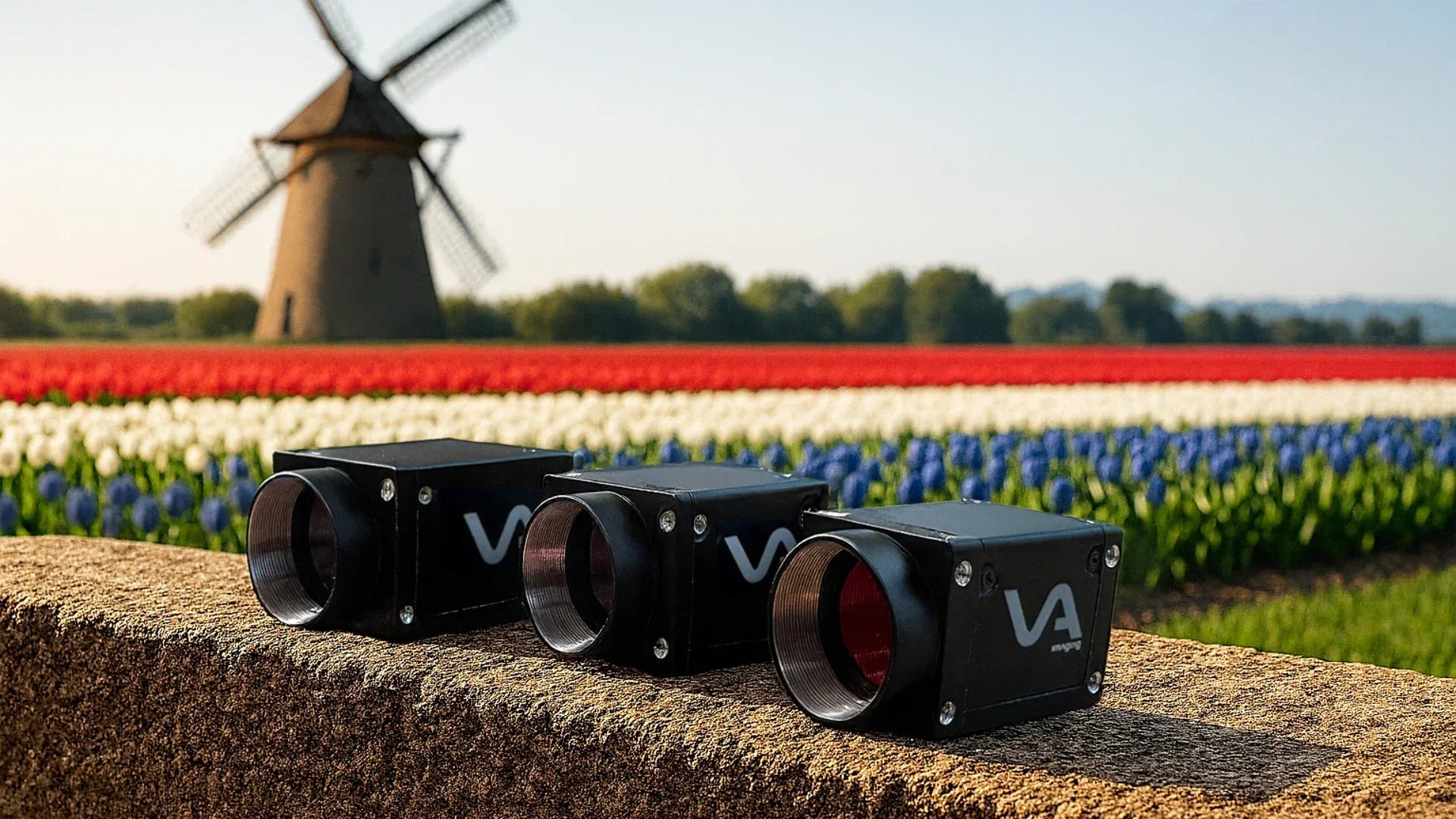 What the Dutch Flag Symbol Represents on Selected VA Products