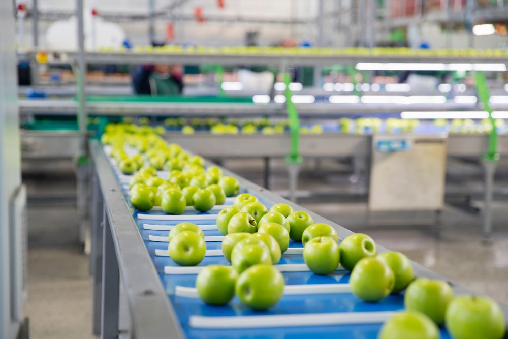 Vision par ordinateur pour le contrôle de qualité et le tri des légumes / fruits et plantes